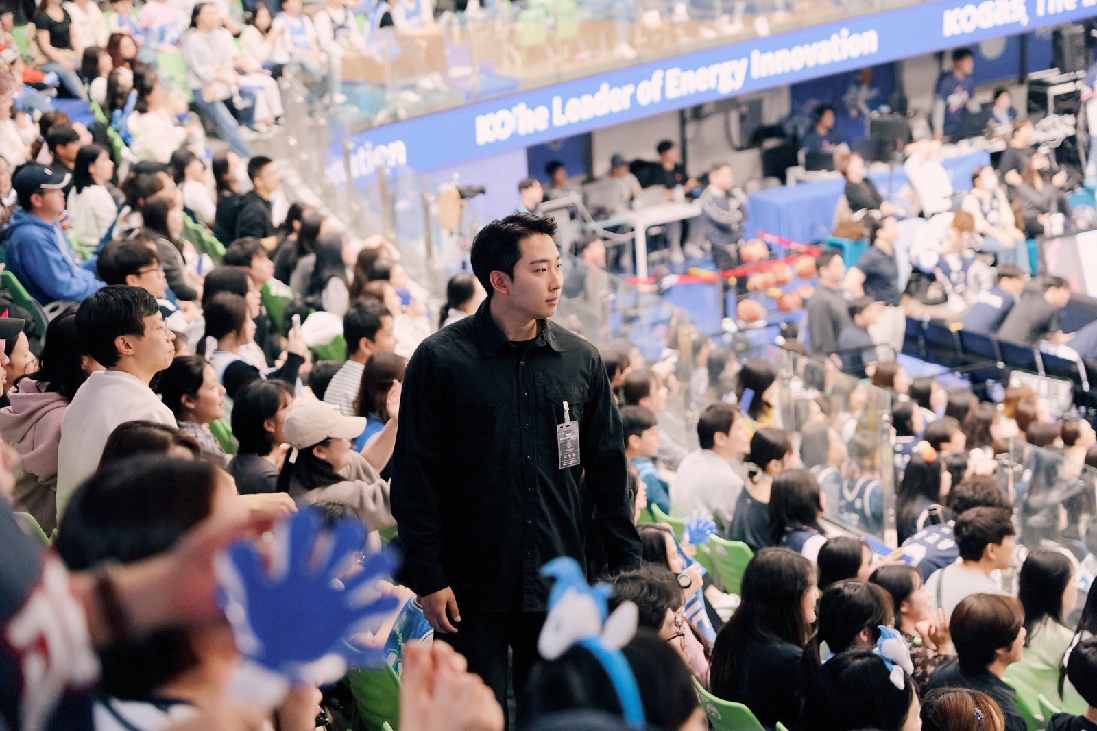 페스티벌